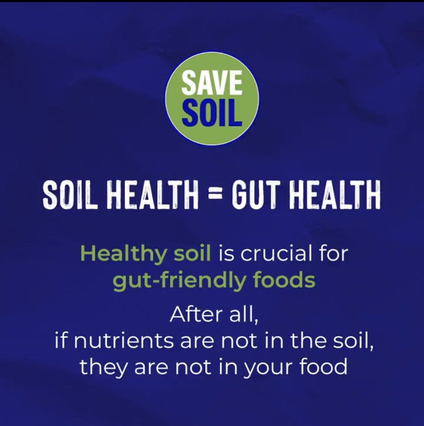 SoilShahnaz's tweet photo. Our gut health is linked to soil health; nutrients and microbes in healthy soil enhance food quality, while poor soil reduces food nutrients, affecting our gut health and overall wellbeing.
#SaveSoil #PolicyForSoil #NoSoilNoFood #SaveSoilFiximateChange

👉https://t.co/Gx8O0uIT5x https://t.co/0aQ5IIbpqE