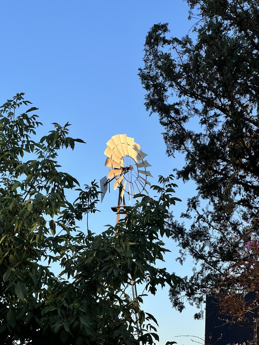 al_haush's tweet image. 🌬️Our windpump echoes the past, dating back to 1945, where water was drawn just 15 meters deep. Though that well is no longer operational, our windpump continues the tradition, harnessing the power of wind for a sustainable future. 🌍💧
#AlHaush #Windpump #Sustainability