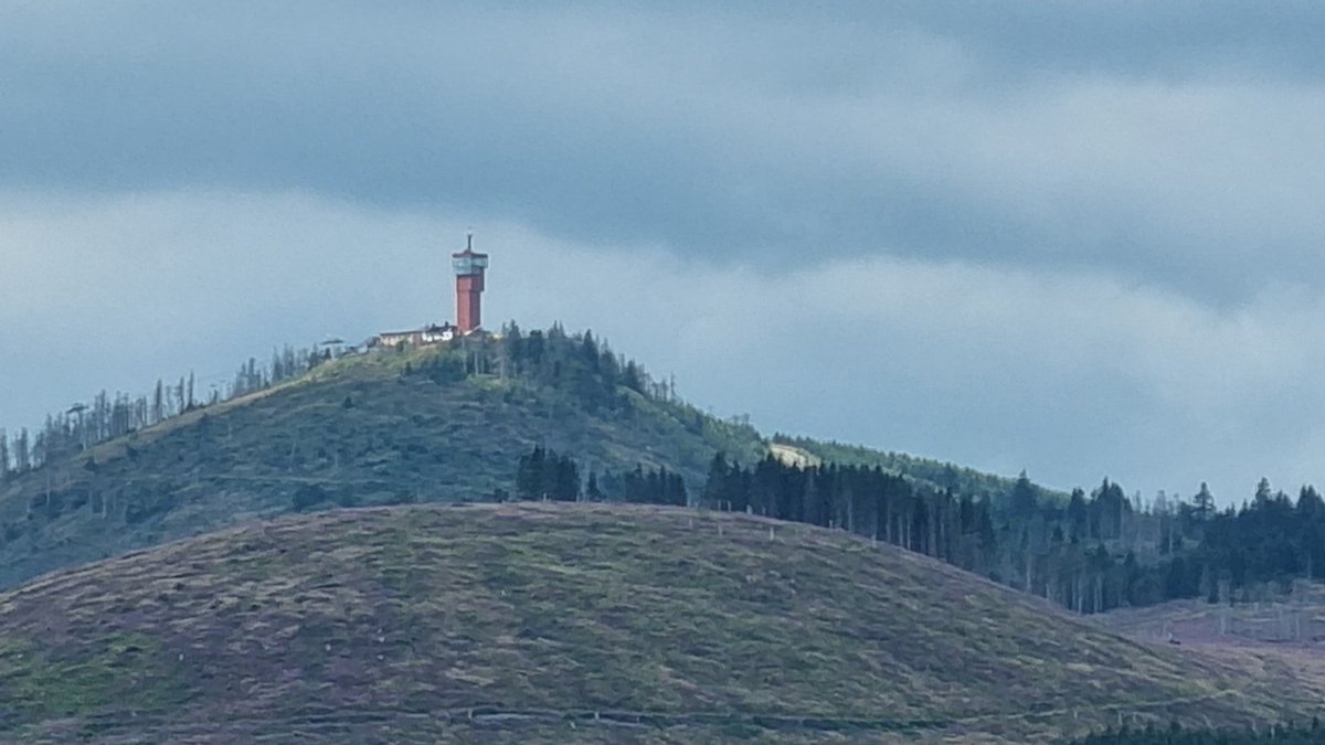 𝗣𝗘𝟭𝗥𝗗𝗣 tweet media