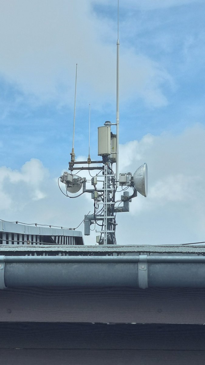 𝗣𝗘𝟭𝗥𝗗𝗣 tweet media