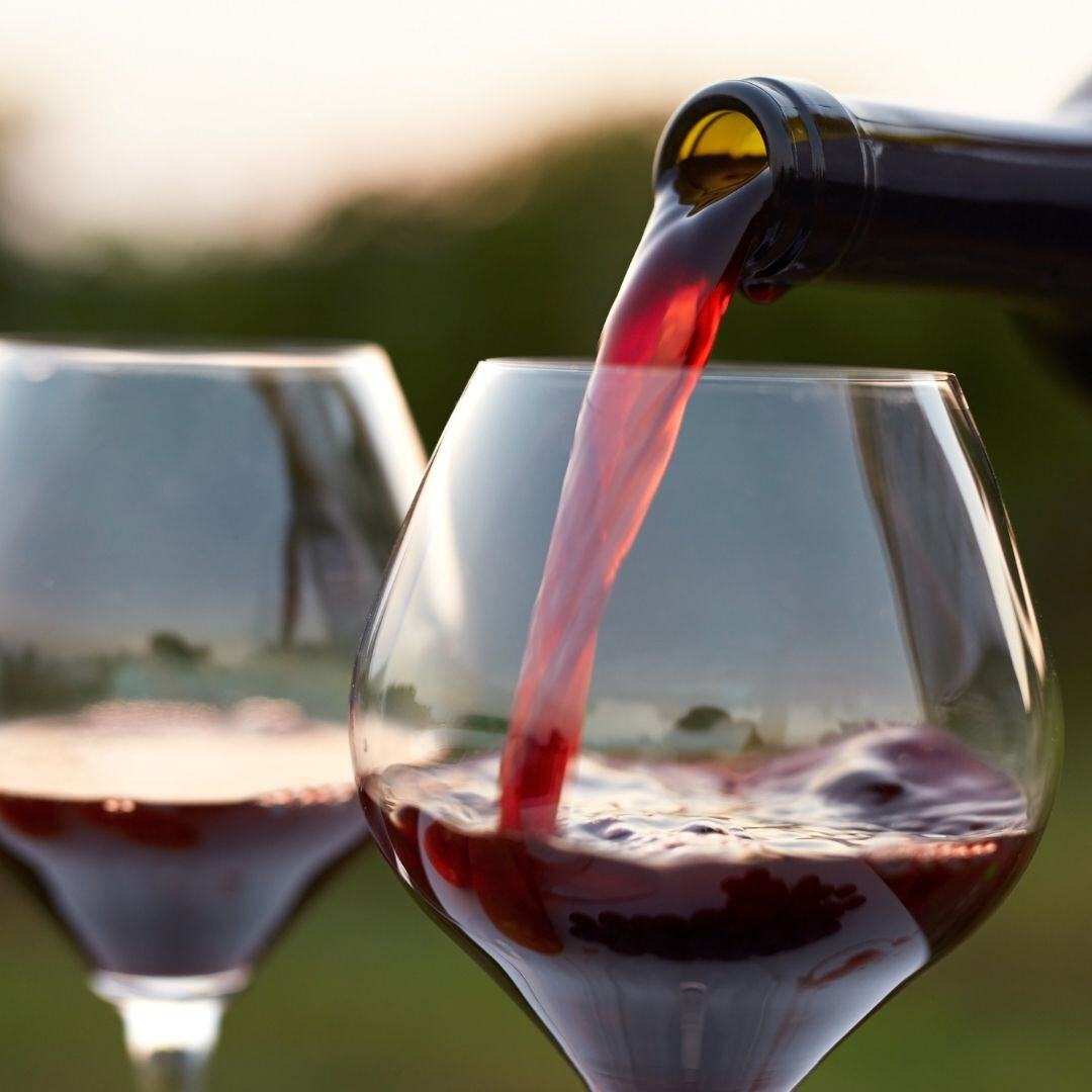 Calling all wine lovers! The Hudson Valley Wine &amp; Food Festival is your ultimate summer destination. Savor the finest wines, enjoy gourmet delights, and soak up the vibrant atmosphere. 🍷🌞 #SummerWineFestival #HudsonValleyEats