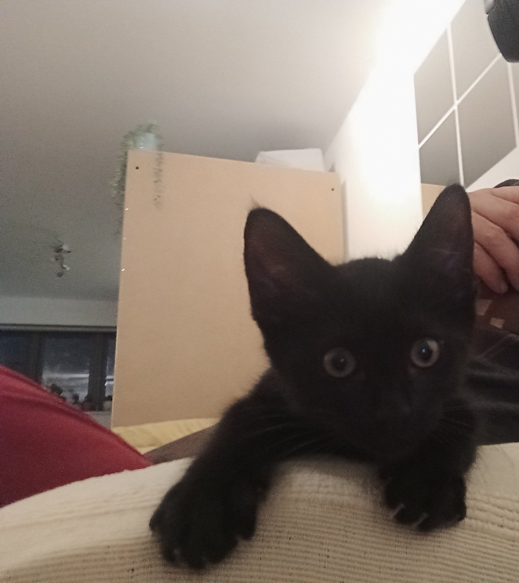 Sunday Assembly tweet media