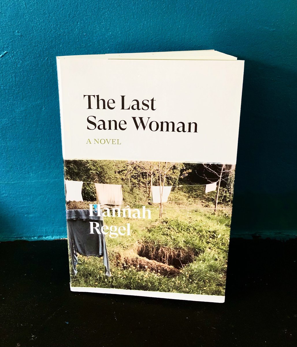 MontySnapper's tweet photo. My review of Hannah Regel’s brilliant The Last Sane Woman (published by @VersoBooks) coming soonish to @the_Crack https://t.co/eIc2lNF2pr