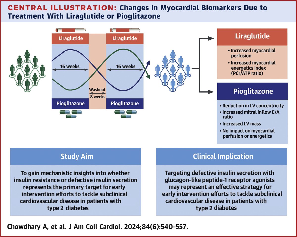 JACC Journals (@jaccjournals) on Twitter photo Liraglutide treatment resulted in improved myocardial perfusion, energetics, and 6-minute walk distance in patients with #T2D, whereas pioglitazone showed no effect on these parameters bit.ly/4d4pwO7
#JACC #CVD <a href="/DrAChowdhary/">Amrit Chowdhary</a> <a href="/EylemLevelt/">Eylem Aslan-Levelt</a> Liraglutide treatment resulted in improved myocardial perfusion, energetics, and 6-minute walk distance in patients with #T2D, whereas pioglitazone showed no effect on these parameters bit.ly/4d4pwO7
#JACC #CVD <a href="/DrAChowdhary/">Amrit Chowdhary</a> <a href="/EylemLevelt/">Eylem Aslan-Levelt</a>