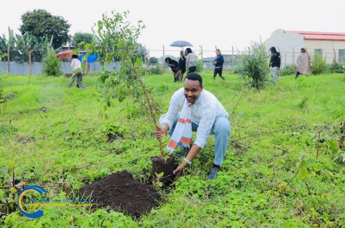 DhengeB's tweet photo. As part of green legacy initiative, #MOTL and acountable inistitutions planted trees #Hosanna https://t.co/8th6Mpds9U