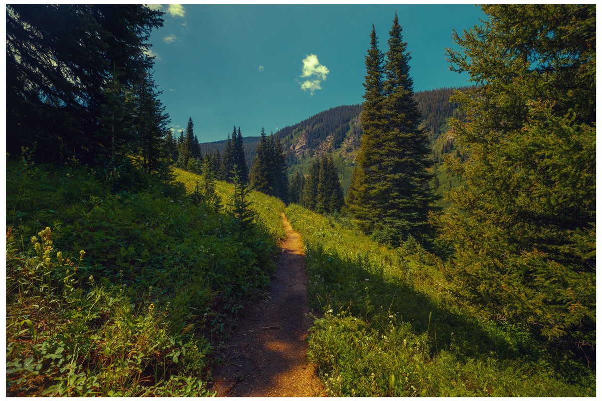 JamesAdamsIII's tweet photo. went on a hike listening to some minecraft.. https://t.co/G2Faa9Rmom