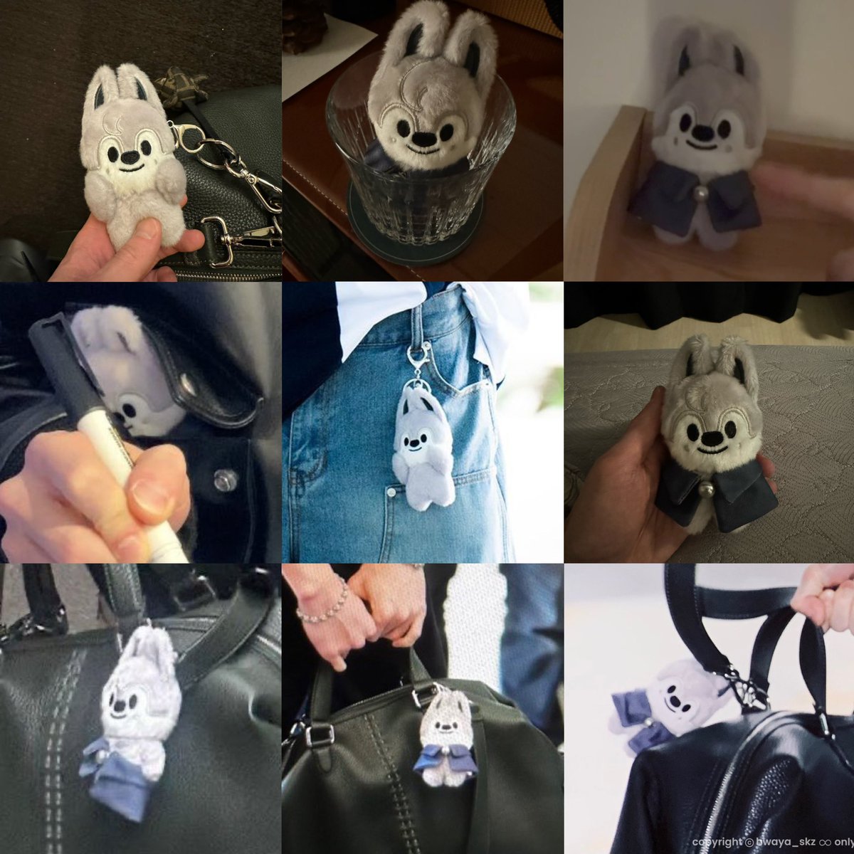 bang chan’s pocket sized best friend