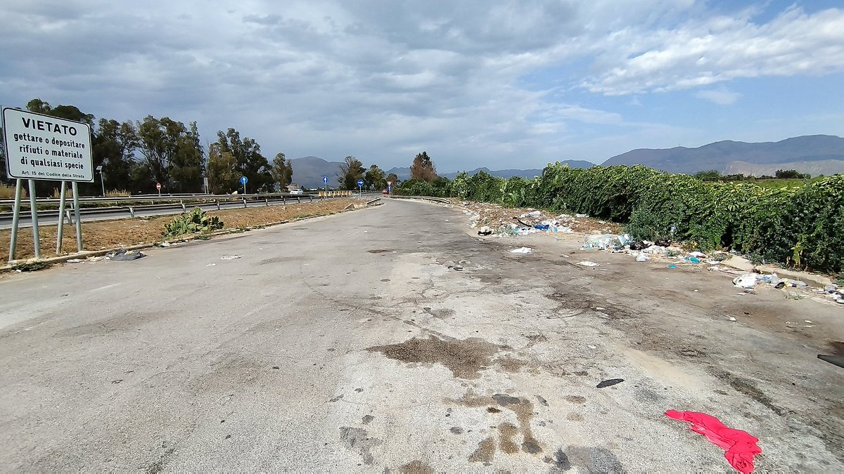 Fabio Accalai tweet media