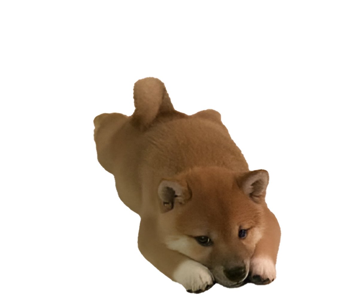 crypto_fly's tweet photo. $Inu has huge potential 

cute af, cult community already 

hard working team

great ticker

meme maker &amp; auto generator

ready to go viral 👀  

https://t.co/803T1if8qW

ps go check the chart https://t.co/roJD2fzb6d