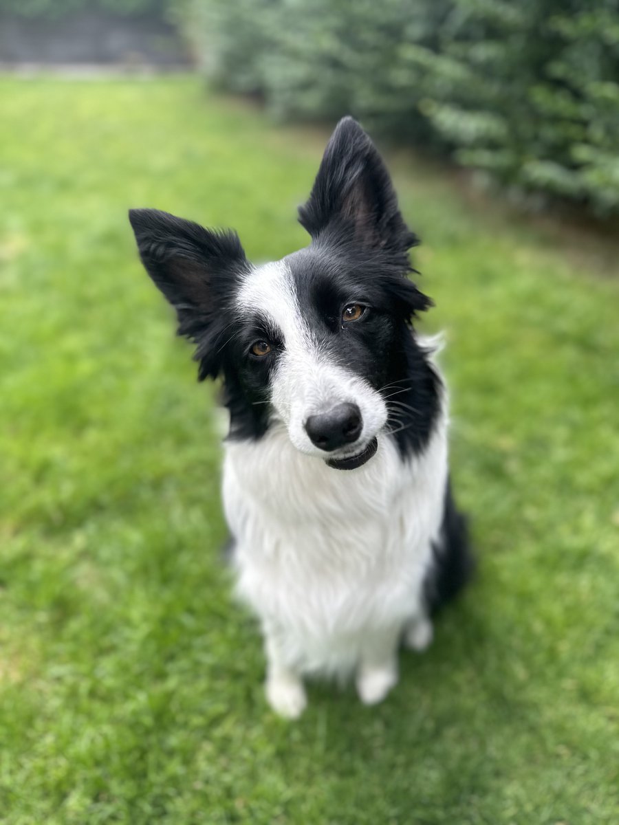 Kevin Mann tweet media