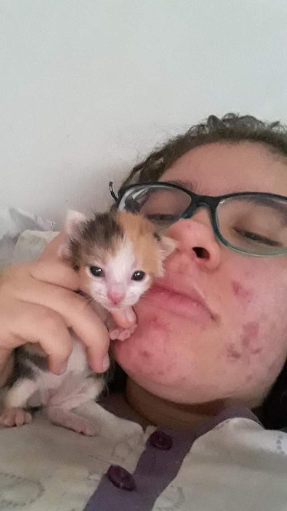 kritomedmed's tweet image. Abro hilo sobre una familia colombiana en Bs Aires Argentina acusada de torturar y mutilar animales. Luz Mariela Duque Rojas, Domingo Antonio Duque Rojas y Sara Duque Rojas (adoptada). Si alguien los conoce en Colombia por favor escriban porque la justicia en 🇦🇷 no ha hecho NADA.