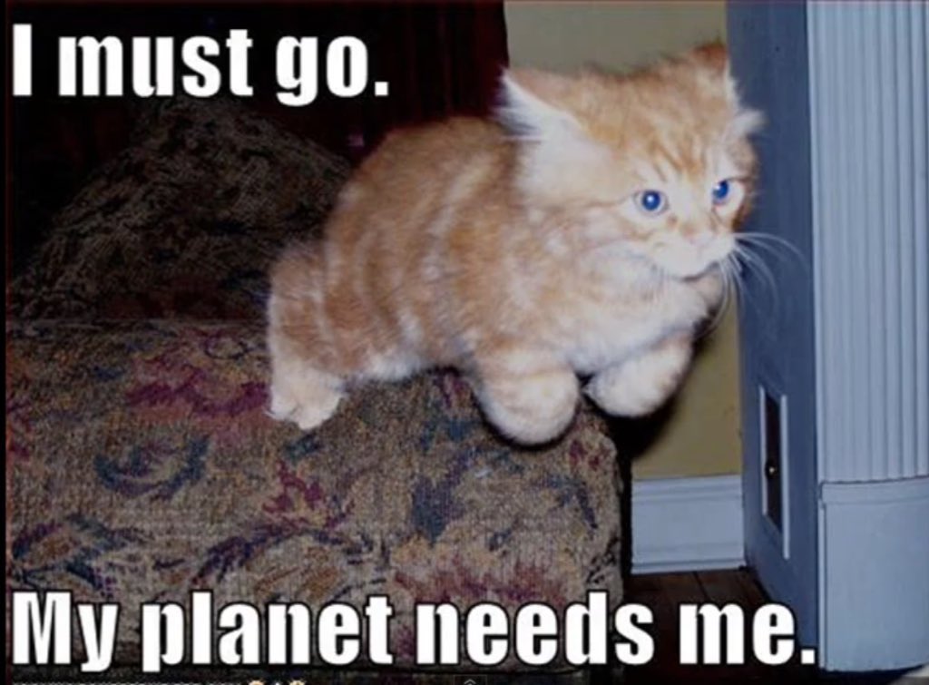 Cptmedao's tweet image. Heard this cat #lolcode 

6ejGKjEqQtDen3VREvE8FuFS1AyJAWJENKTWvT8B5jig