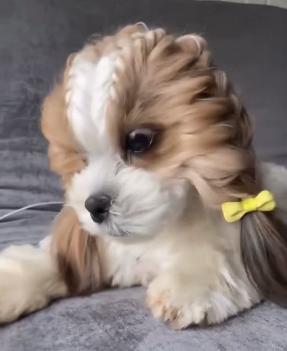 존아눈물남……..