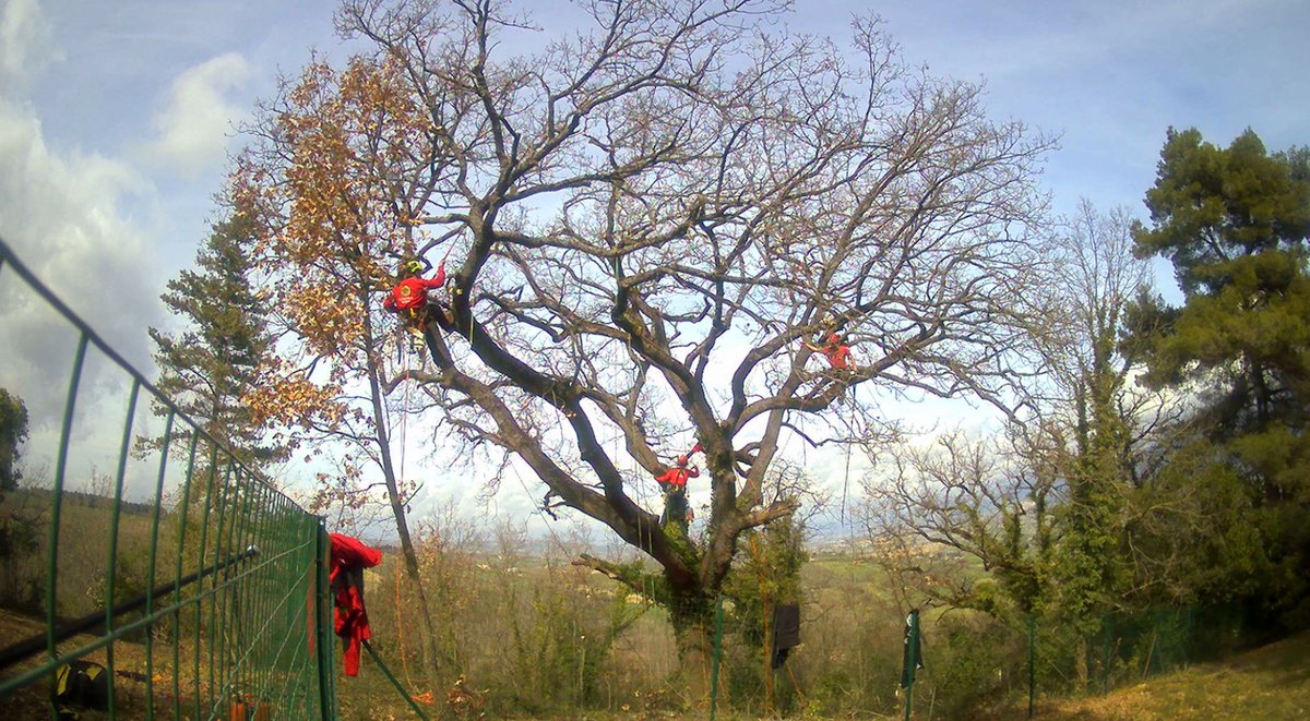 Center for Arts, Design + Social Research tweet media