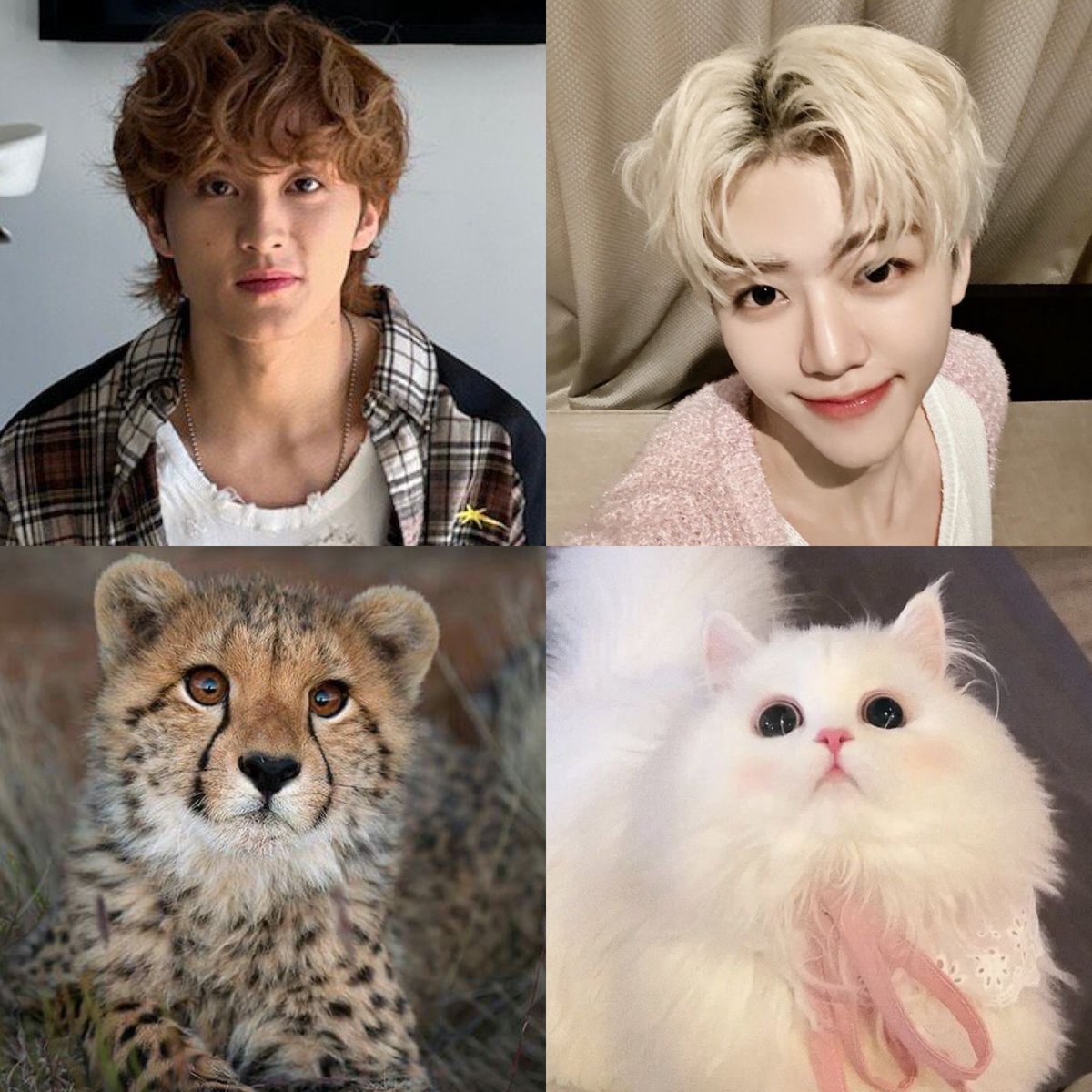 หวัดดีเลามะอั้ค                  เลามินมินน้า