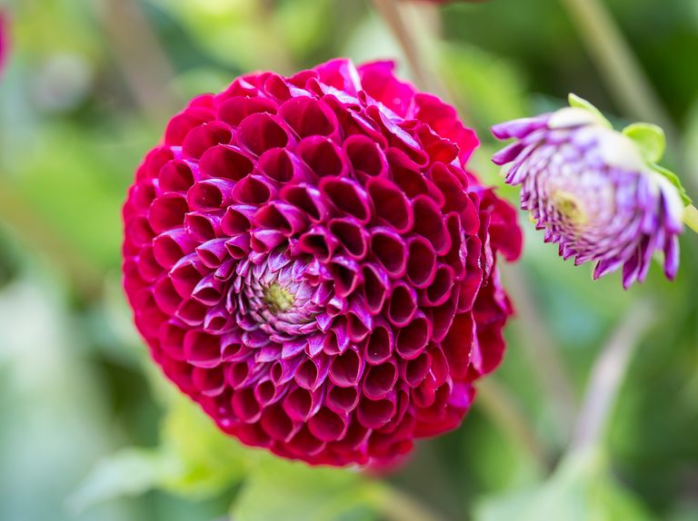 Yaratan'ın eseri, Allah ne kadar güzel