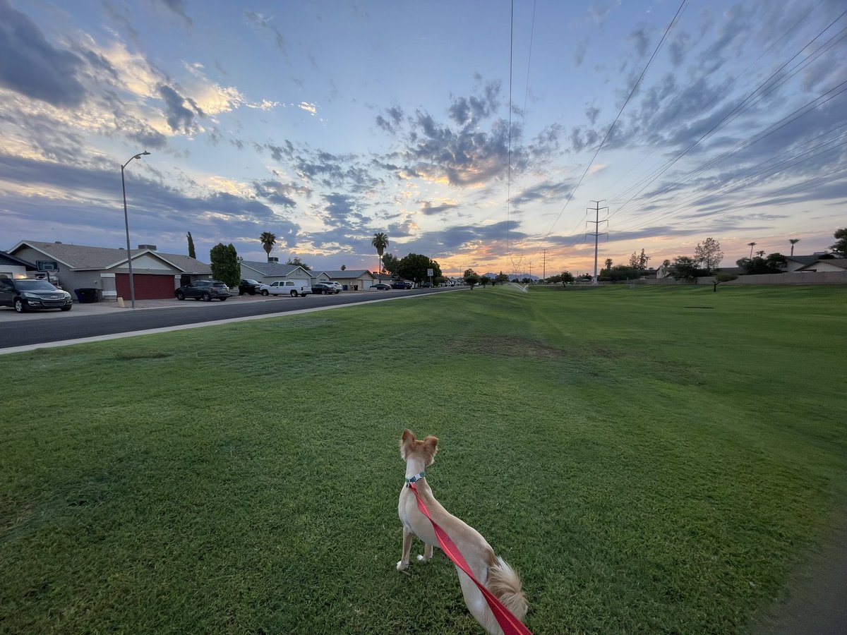 Lisa Narvas tweet media