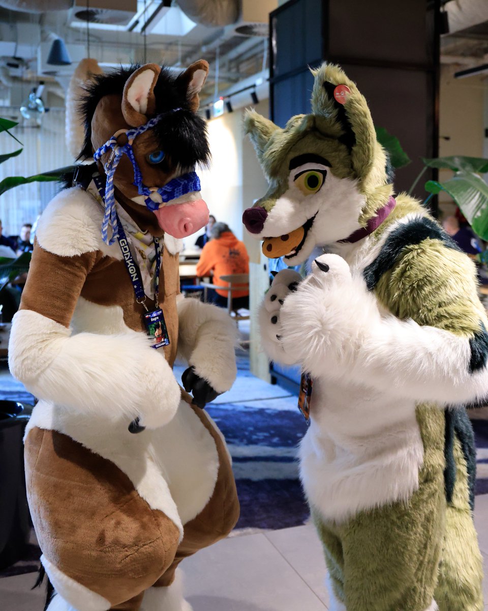 Why the wolf is holding the cookie instead of eating it... hmm...

/w <a href="/nadamefloof/">N a d i 🍪 (@nadamefloof.bsky.social)</a> 
Photo by <a href="/DerooShep/">Deroo</a>
