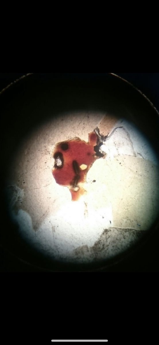 With the new Deadpool movie coming out it’s time to post the Deadpool-biotite.