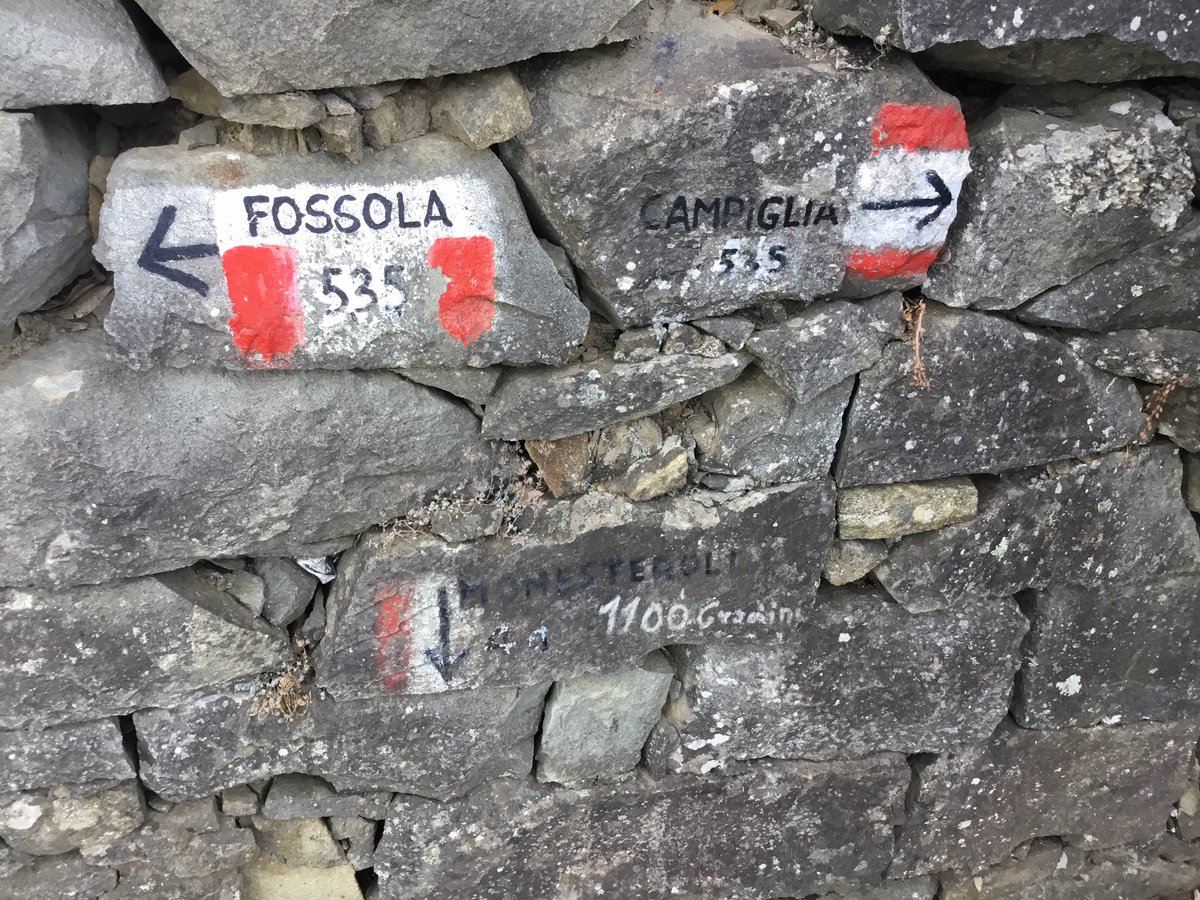 Luca Natale tweet media