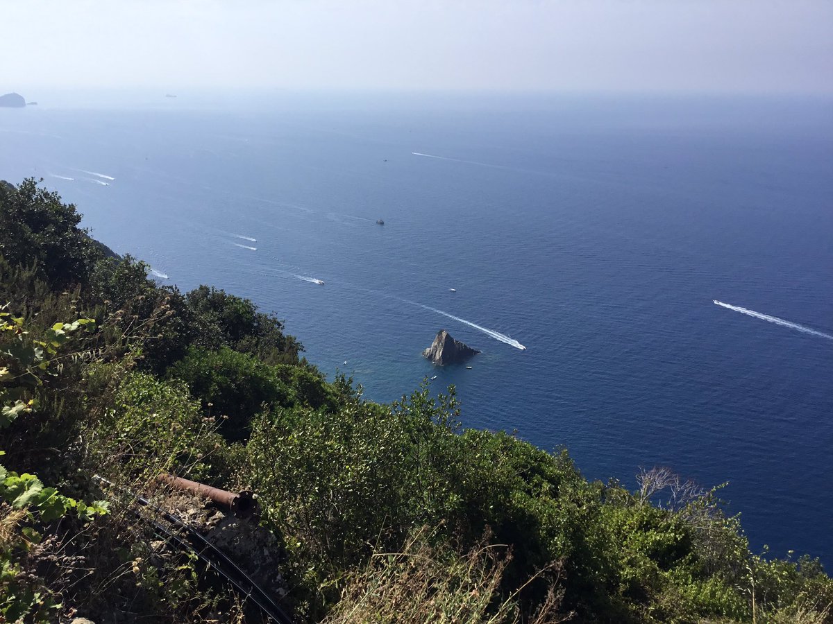 Luca Natale tweet media