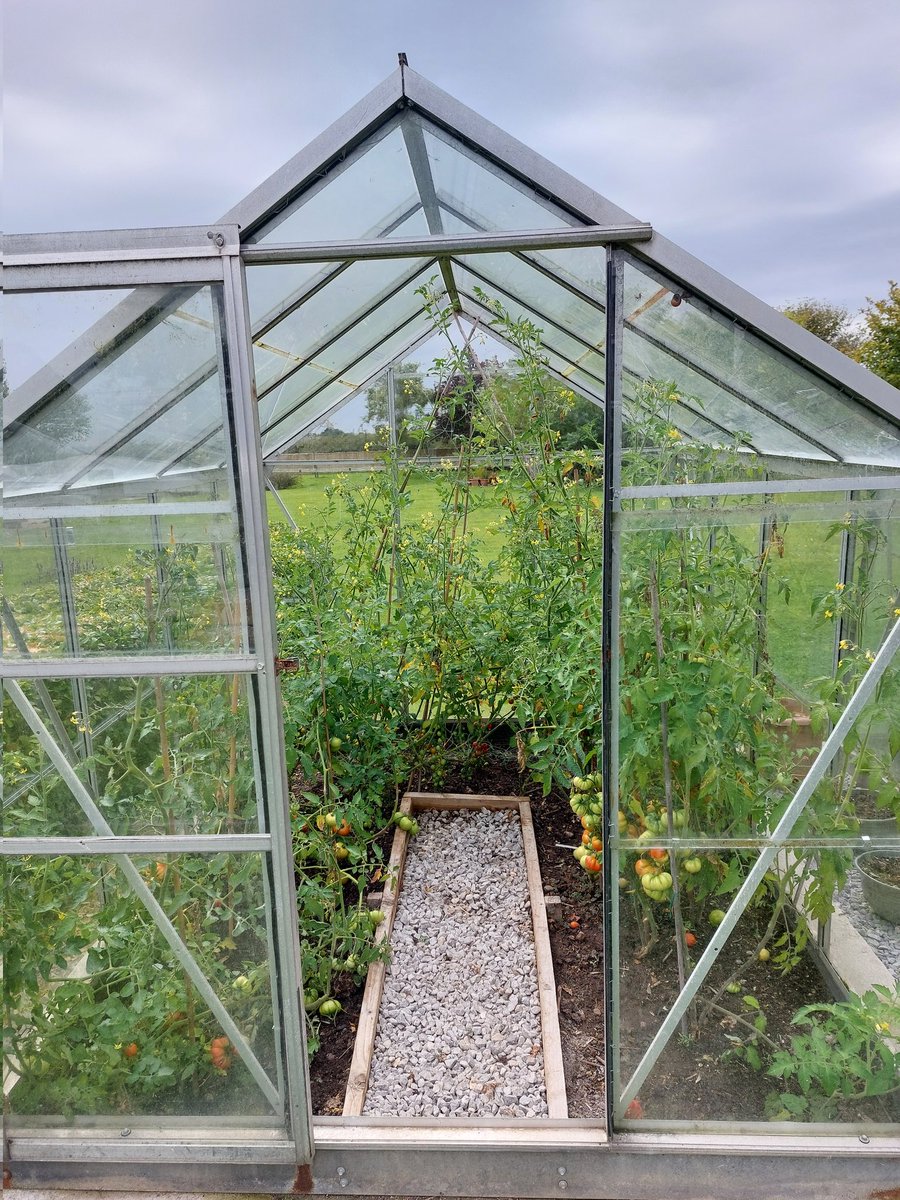 Kate Couzens tweet media