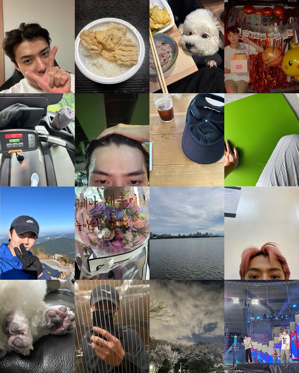 𝐬𝐞𝐡𝐮𝐧 𝐮𝐧𝐢𝐯𝐞𝐫𝐬𝐞 tweet media