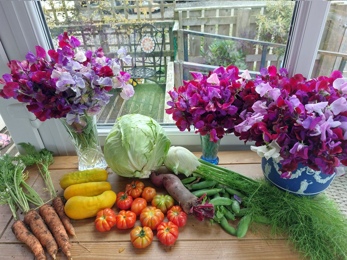 Kate Couzens tweet media