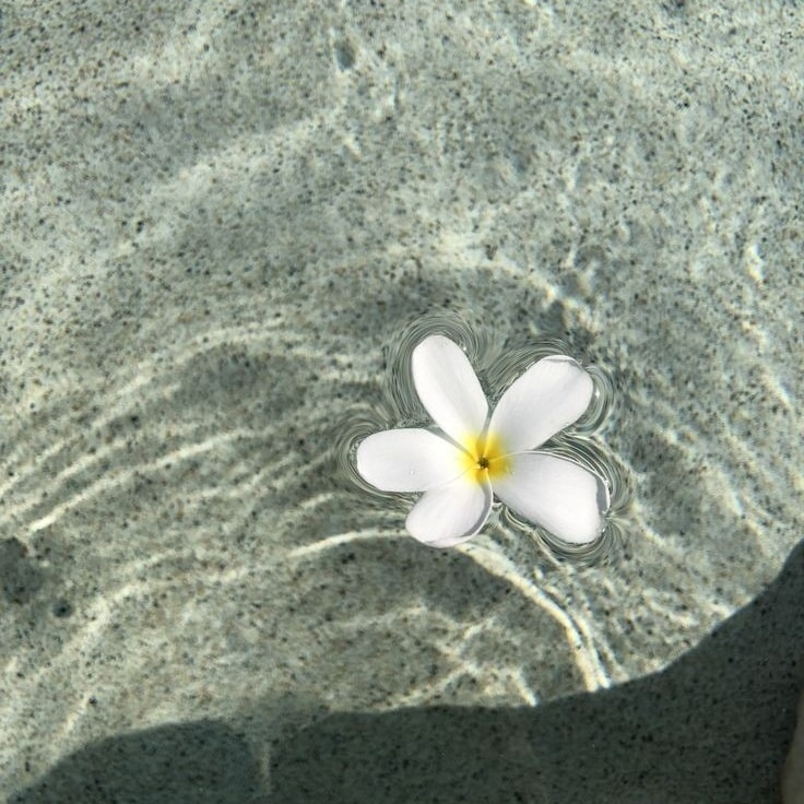 artindetails's tweet image. — sound of the waves.