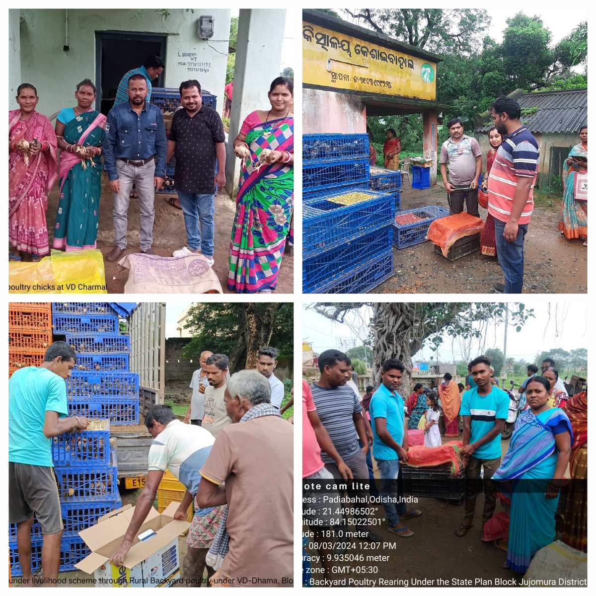 ovsa_sambalpur's tweet photo. Distribution of 28 days old LIT birds to individual WSHG members of Sambalpur district @CMO_Odisha @GokulanandaBJP @farddept @dahvsodisha @DmSambalpur https://t.co/g8x1XI5eTi