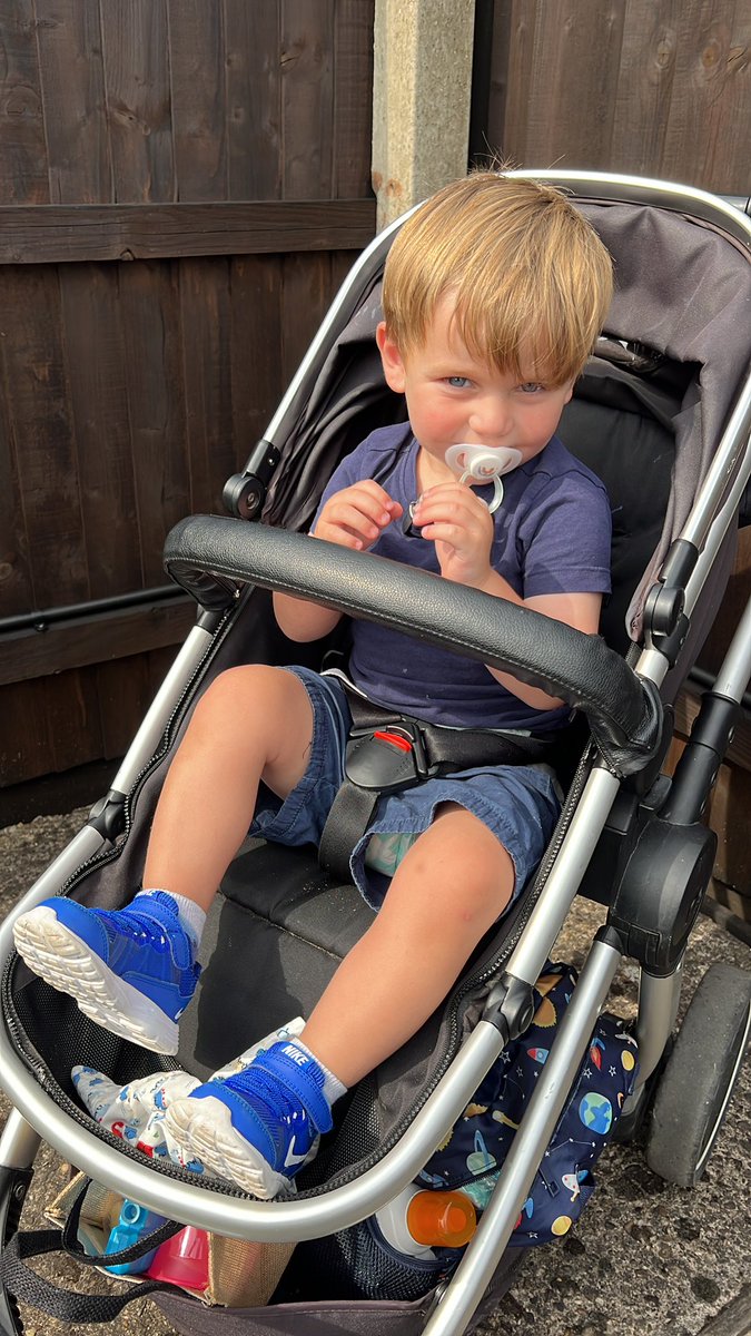 Sam Peters tweet media