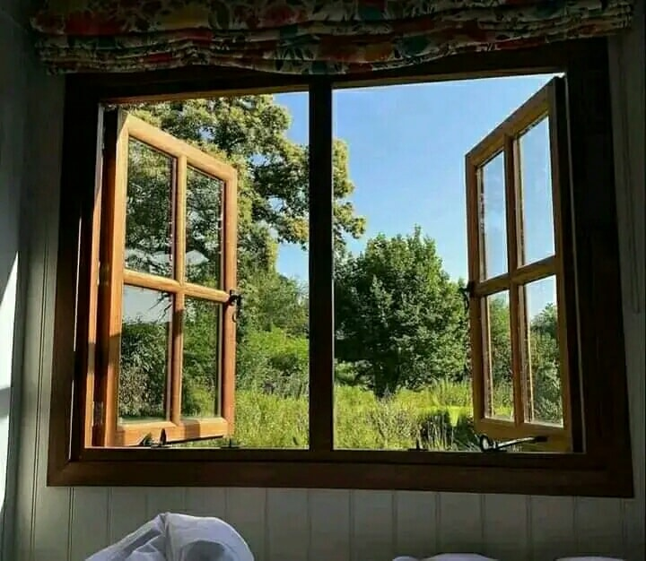 artindetails's tweet image. appreciating the peaceful life.