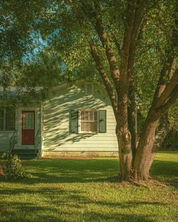 artindetails's tweet image. appreciating the peaceful life.