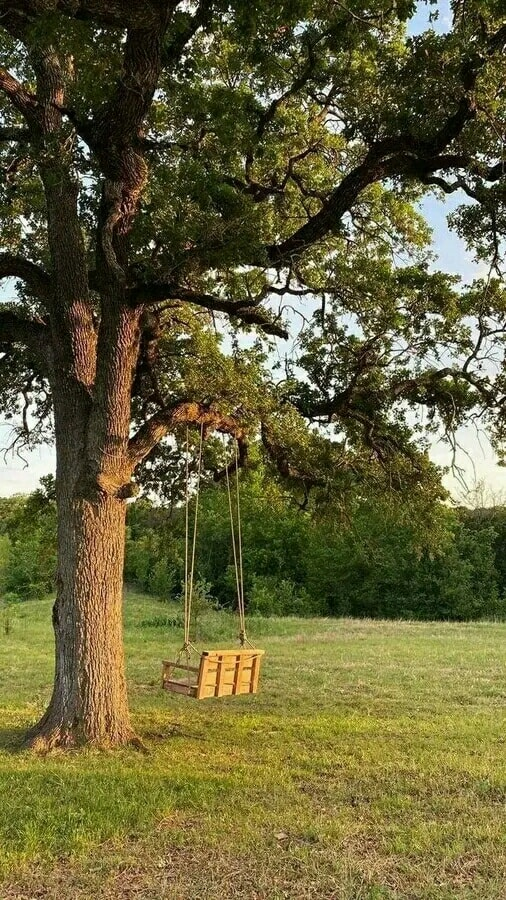 artindetails's tweet image. appreciating the peaceful life.