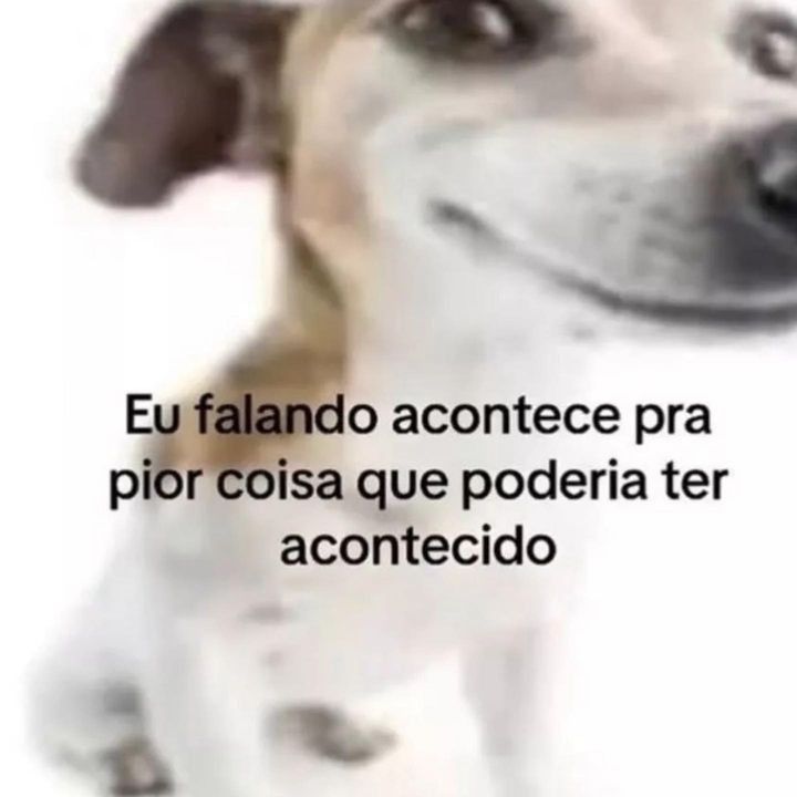 memes pra quem tem baixa autoestima  (@autoestimaposts) on Twitter photo 