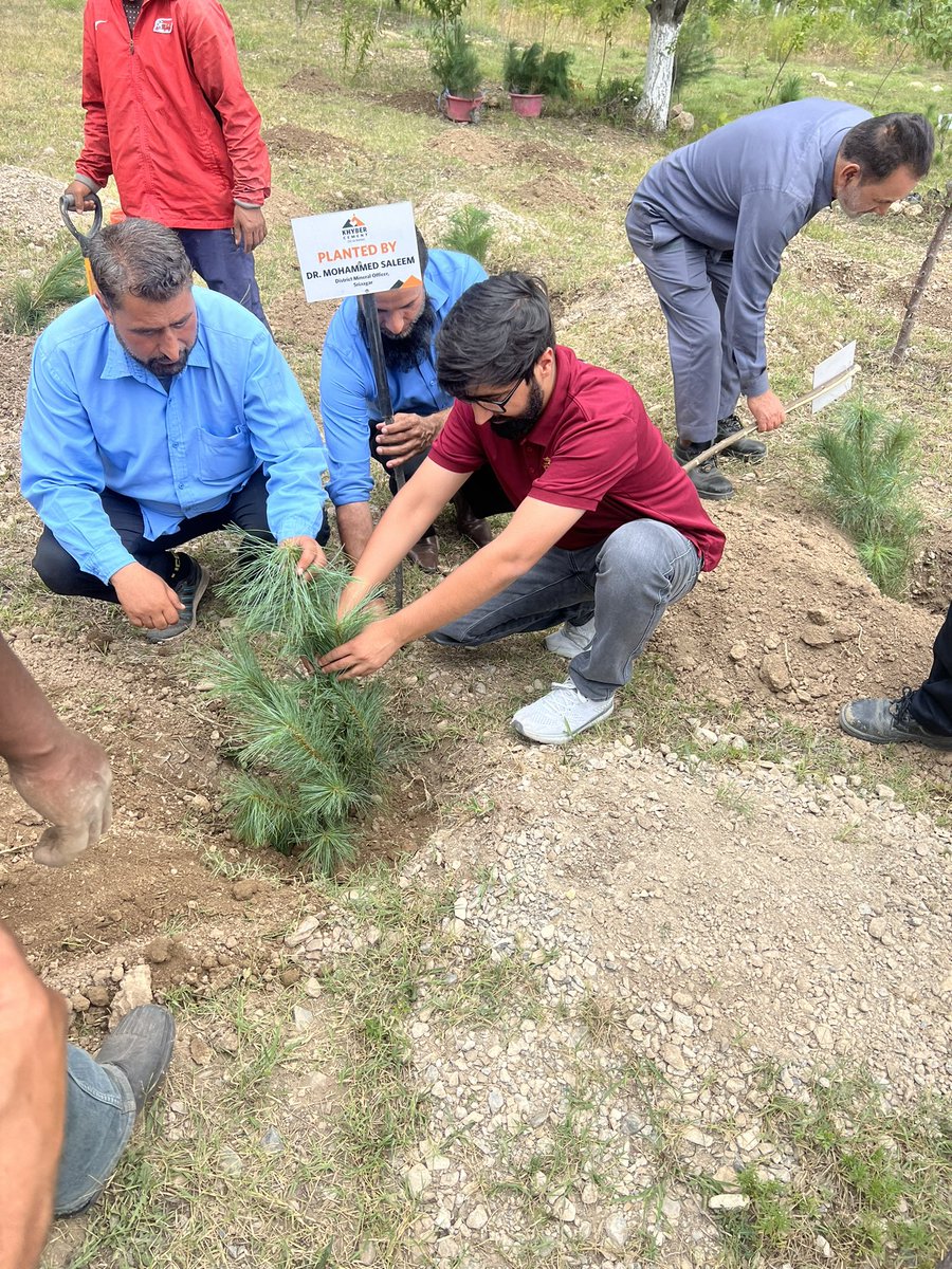 dmo_office's tweet photo. 🌿Plantation drive was held at Limestone Mine of M/S Khyber Cements Pvt Ltd in Khunmoh, Srinagar, under the theme "#SwachhtaPakhwada for Mother Earth" as part of the "Ek Pad Maa Ke Naam" tree plantation program #TreePlantation @DrBilalbhatIAS @srinagaradmin @GeologyMiningJK https://t.co/S90CNnA6pF