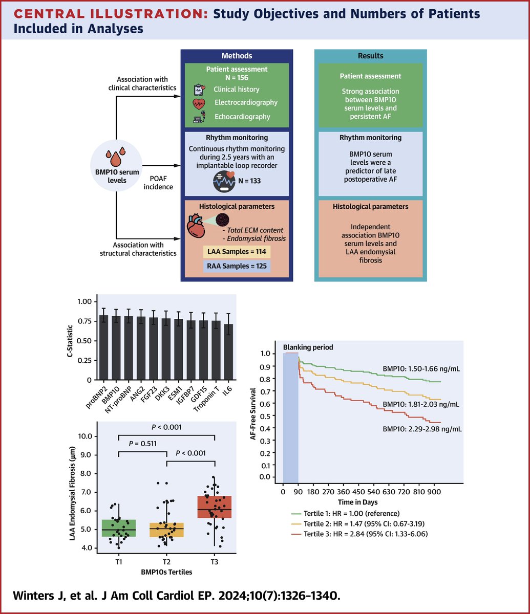 JACCJournals's tweet photo. Increased #BMP10 levels were associated with persistent #AFib history, increased late #POAF incidence, and LAA endomysial fibrosis in a diverse sample of patients undergoing cardiac surgery. https://t.co/FGOxKCzV6i

#JACCCEP #EPeeps #cvSurg https://t.co/XkUuhFe1WS