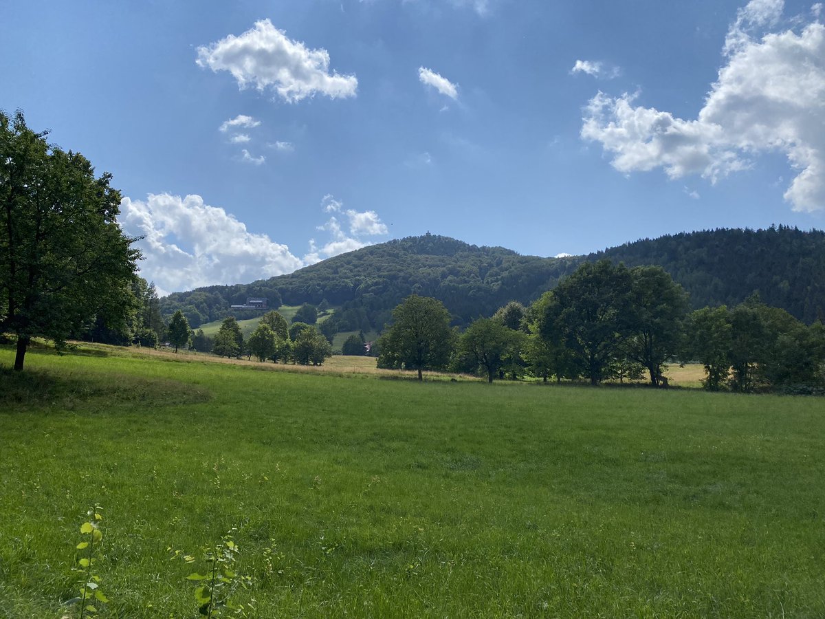 Hochtouren's tweet photo. Wanderung auf die #Lausche (793m) im Lausitzer Gebirge: vom neuen Aussichtsturm (2020) hat man eine weite Aussicht (bei klarer Sicht bis zur Schneekoppe, heute war’s zu diesig dafür) #Lausitz #Sachsen https://t.co/oIfdvCJGvC