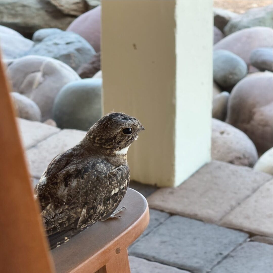 Stuff Andy Makes tweet media