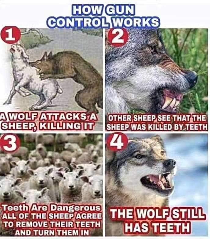 bluelivesmtr's tweet photo. Here's some food for thought...
#2a #2ahumor #guncontrol https://t.co/cqVnF77t6A