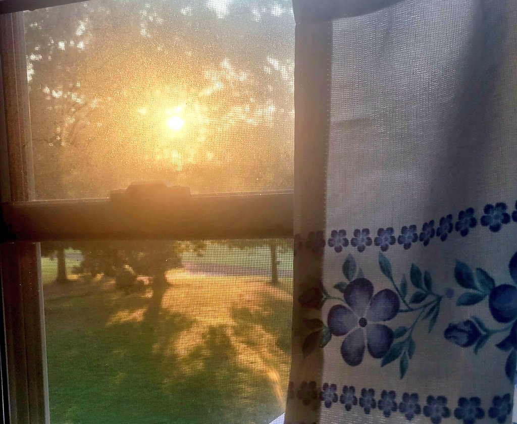 2beutfl's tweet photo. #SaturdayVibes #SaturdayMorningDrive #sunrise https://t.co/r0MIWo97G4