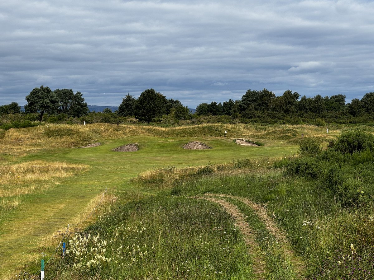 Jack Hirsh tweet media