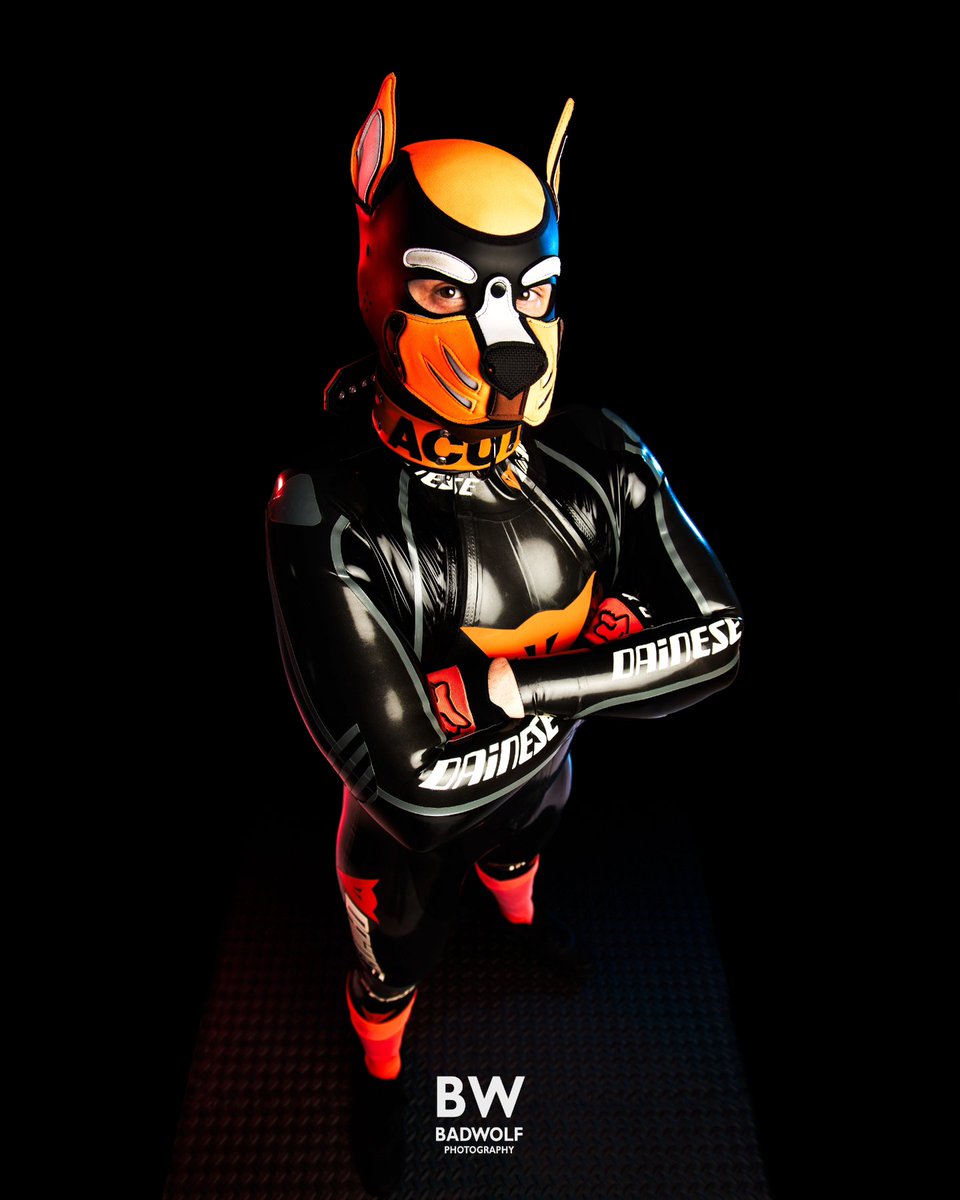 BadWolfPhotos's tweet photo. Who likes a handsome muscle pup in a latex race suit? 

@AcuteAD https://t.co/skuZHjBymp