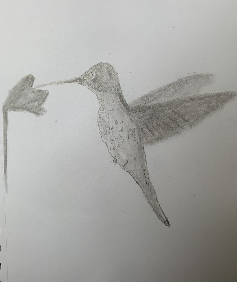 Nick Wood tweet media