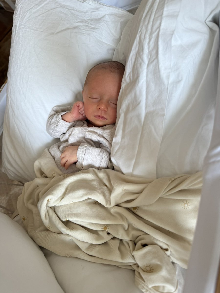 Ben Braverman tweet media