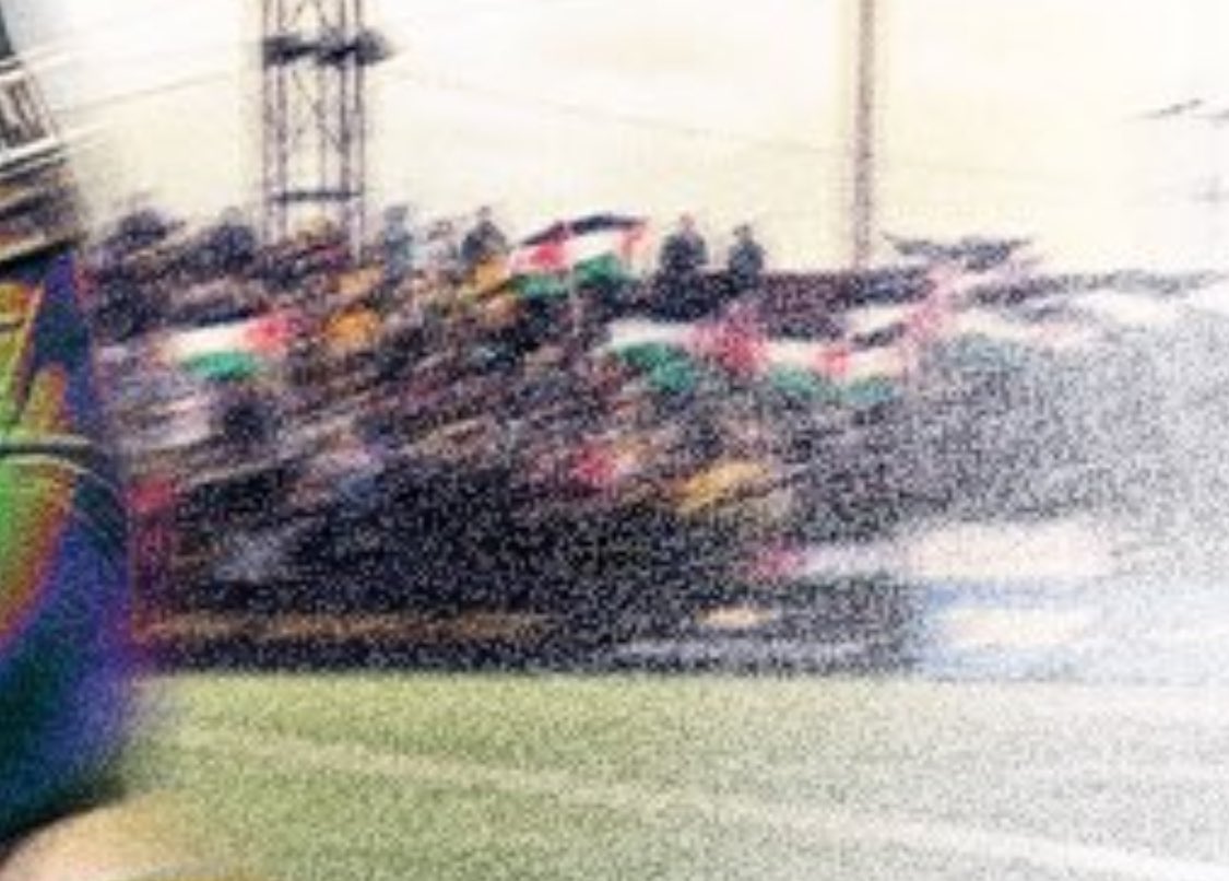 how ironic this graphic is from the match where i organized a pro-palestinian protest against an israeli apartheid law banning the flying of the palestinian flag in march 2023. and just yesterday you emailed me banning my palestinian flag at the match today. birds of a feather 🇵🇸