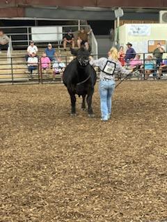 lcranch08's tweet image. Pottawatomie County Fair beef show came and went last night.  The Perry girls had a wonderful night.  Reserve Hereford Heifer, 3rd overall simmential steer, champion AOB steer, reserve and 4th overall intermediate beef showman.  Lots of blood, sweat and tears and emotions.