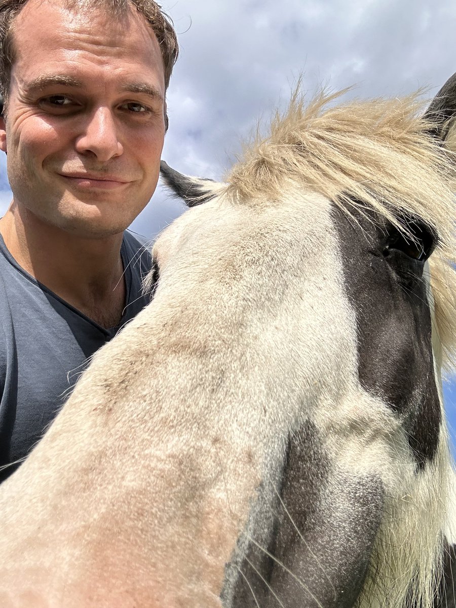 My run is being disrupted by curious constituents on West Common.
For anyone else after their MP please get me on hamish.falconer.mp@parliament.uk
