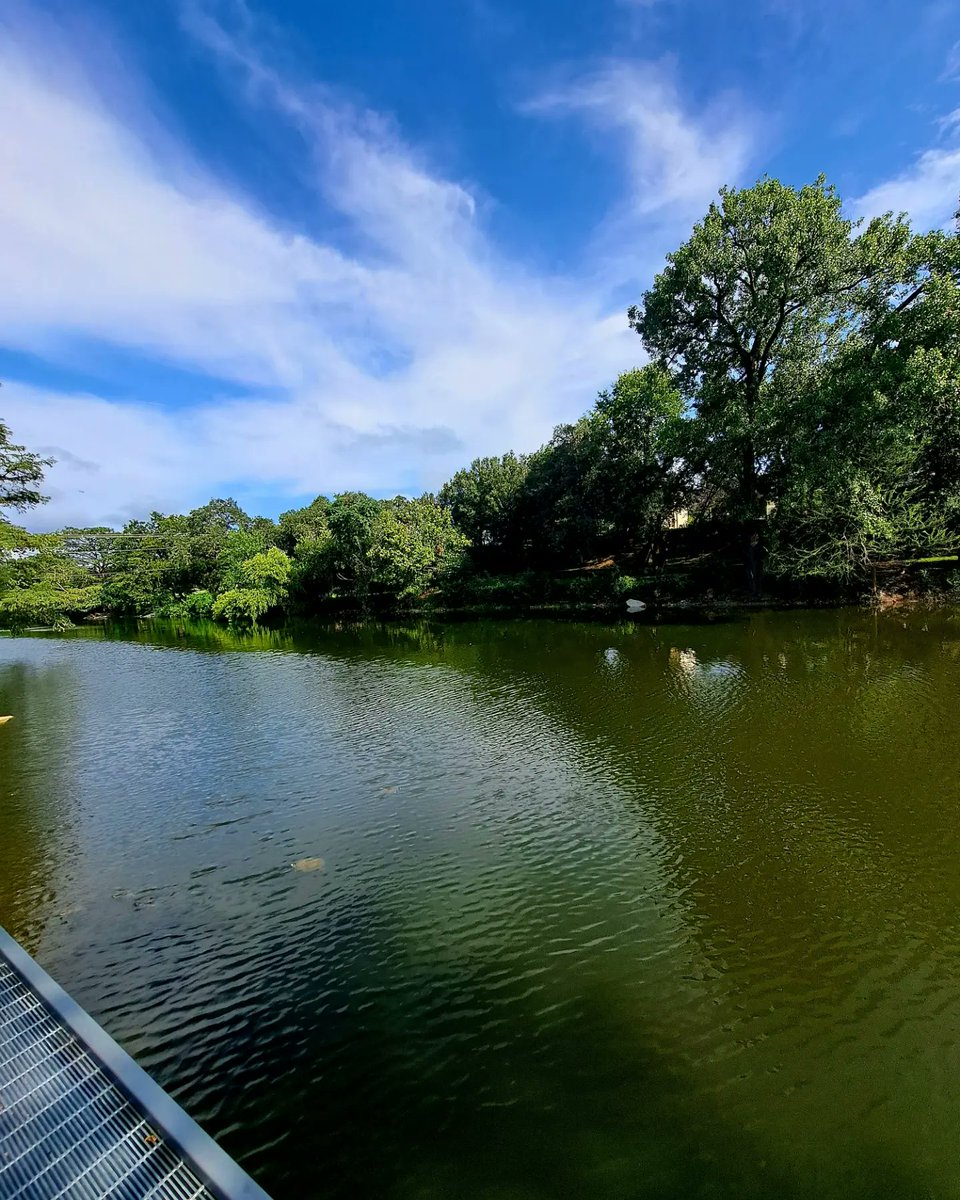 RitiSharan's tweet photo. A beautiful day to be out and about exploring nature! A rarity in Texas heat but rain gods have been kind to us this year! 🍀🌳
#naturewalks 
#breatheasy 
#pausebutton https://t.co/noWgvnpOcH