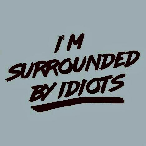 ⋆ 𝑻𝑯𝑬 𝑮𝑹𝑰𝑵𝑵𝑰𝑵𝑮 𝑪𝑨𝑻 ೃ༄ tweet media